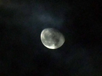 20111215-1.jpg