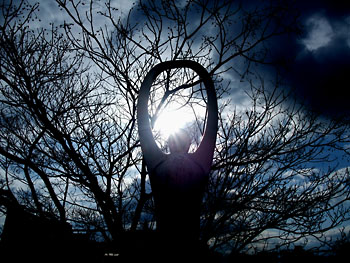 20111216-1.jpg