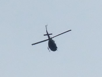 20111217-1.jpg
