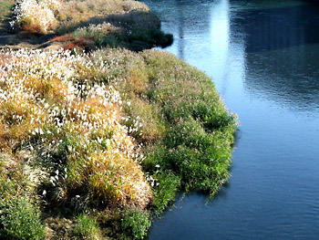 20111229-1.jpg