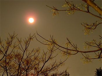 20120109-1.jpg