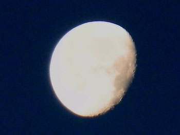 20120114-1.jpg