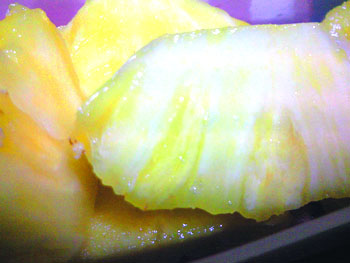 20120116-1.jpg
