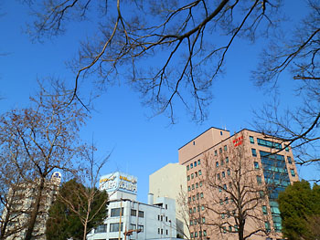 20120120-1.jpg