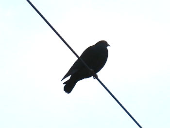 20120122-1.jpg