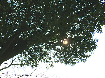 20120126-1.jpg