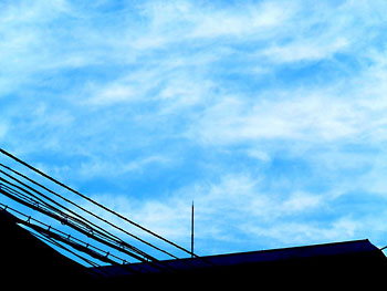 20120131-1.jpg