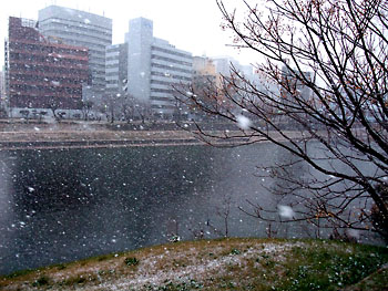 20120202-1.jpg