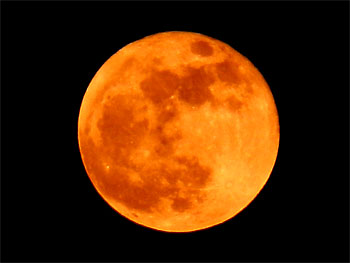 昨夜とは全く趣の違う月。 20120506-1.jpg