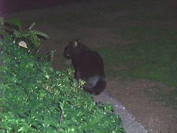 和やかなひととき。 20120507-1.jpg